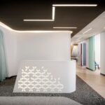 JOE Architect - Silicone Valley Eye Professionals