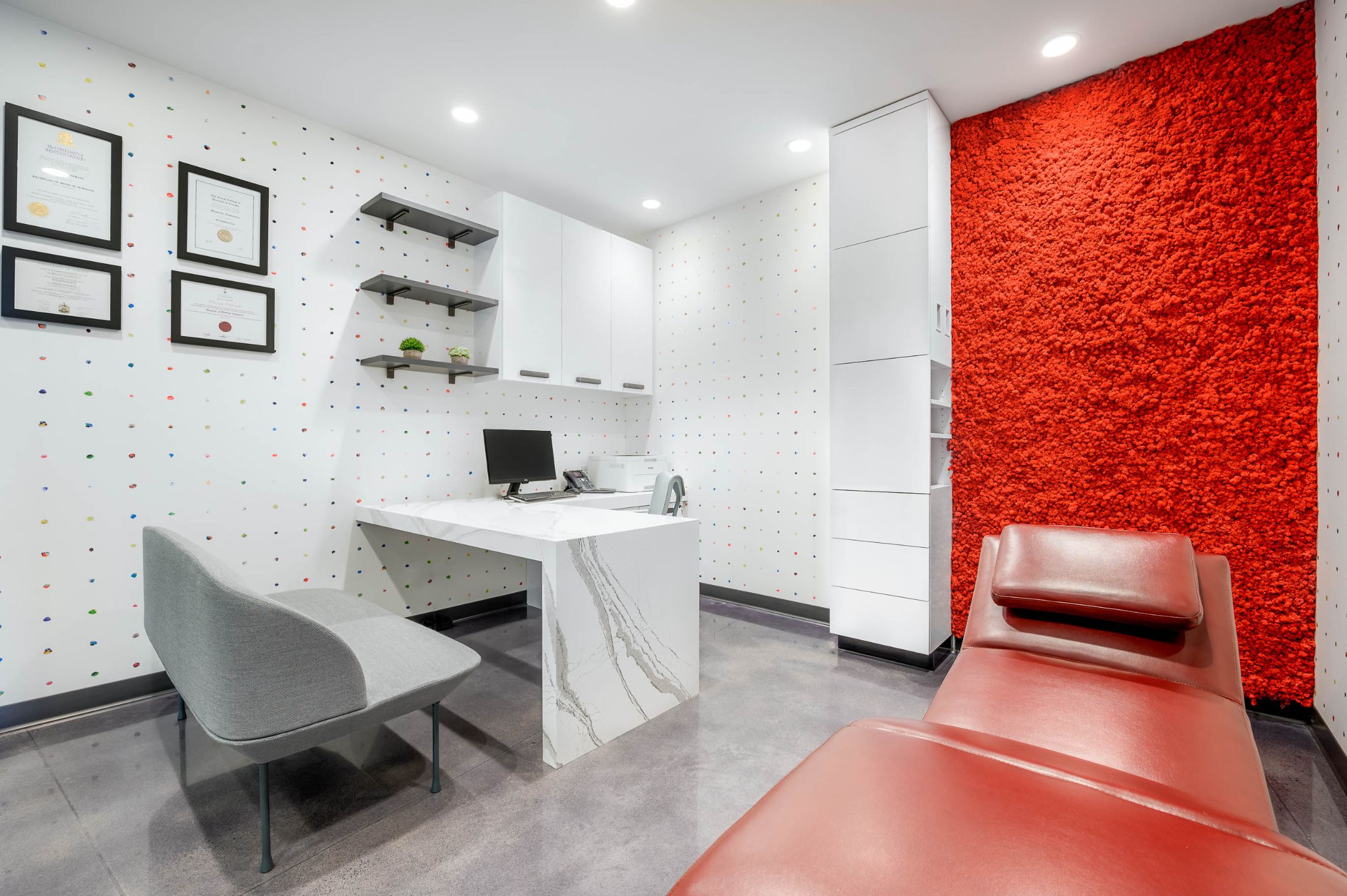 Picassso-Ortho-WebRES-Burlington-Ontario-Canada-Joe-Architect-Interior-Architecture-Mike-Black-PhotoWorks-dot-com-2-of-7.jpg