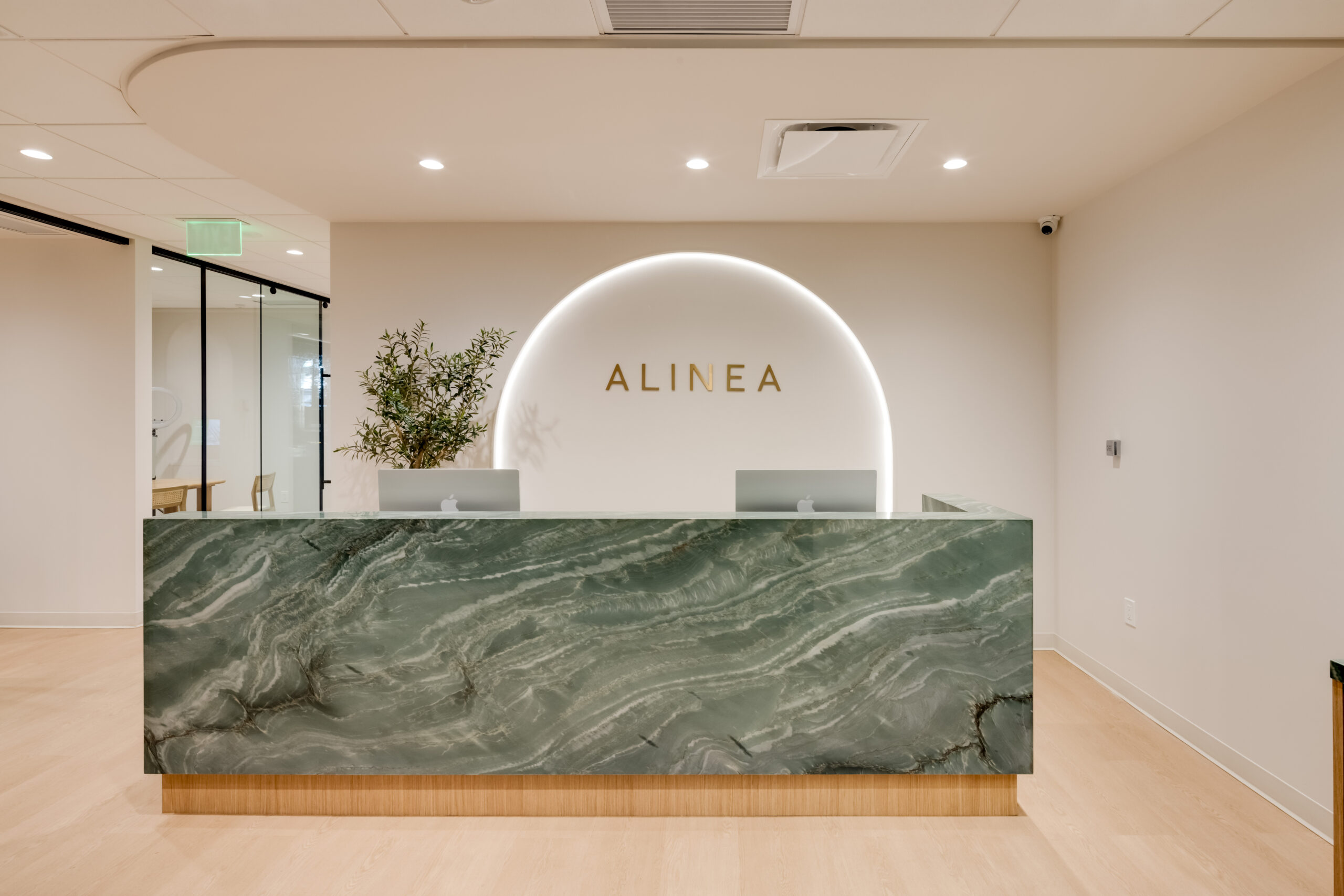 ALINEA_20250225_095002_0661